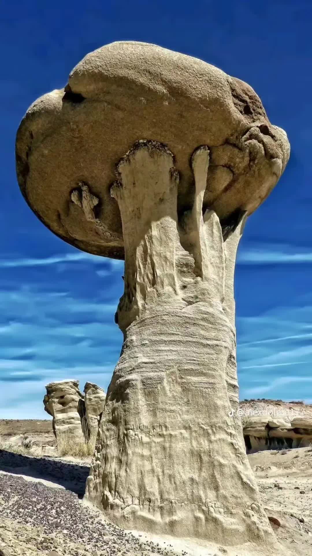 @HIDDΞИ ⟁ WØЯLD