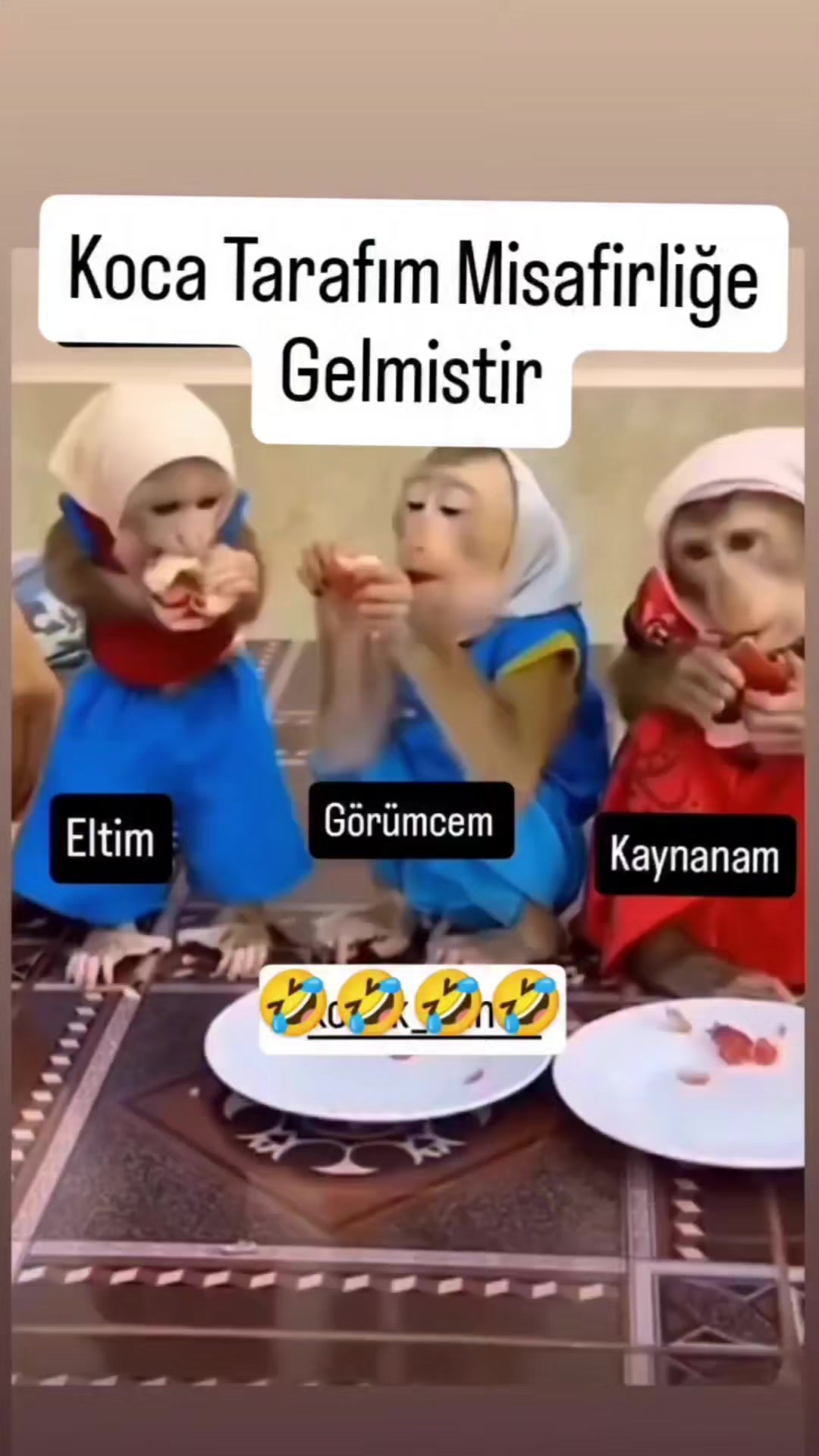 @Sare/Sultan