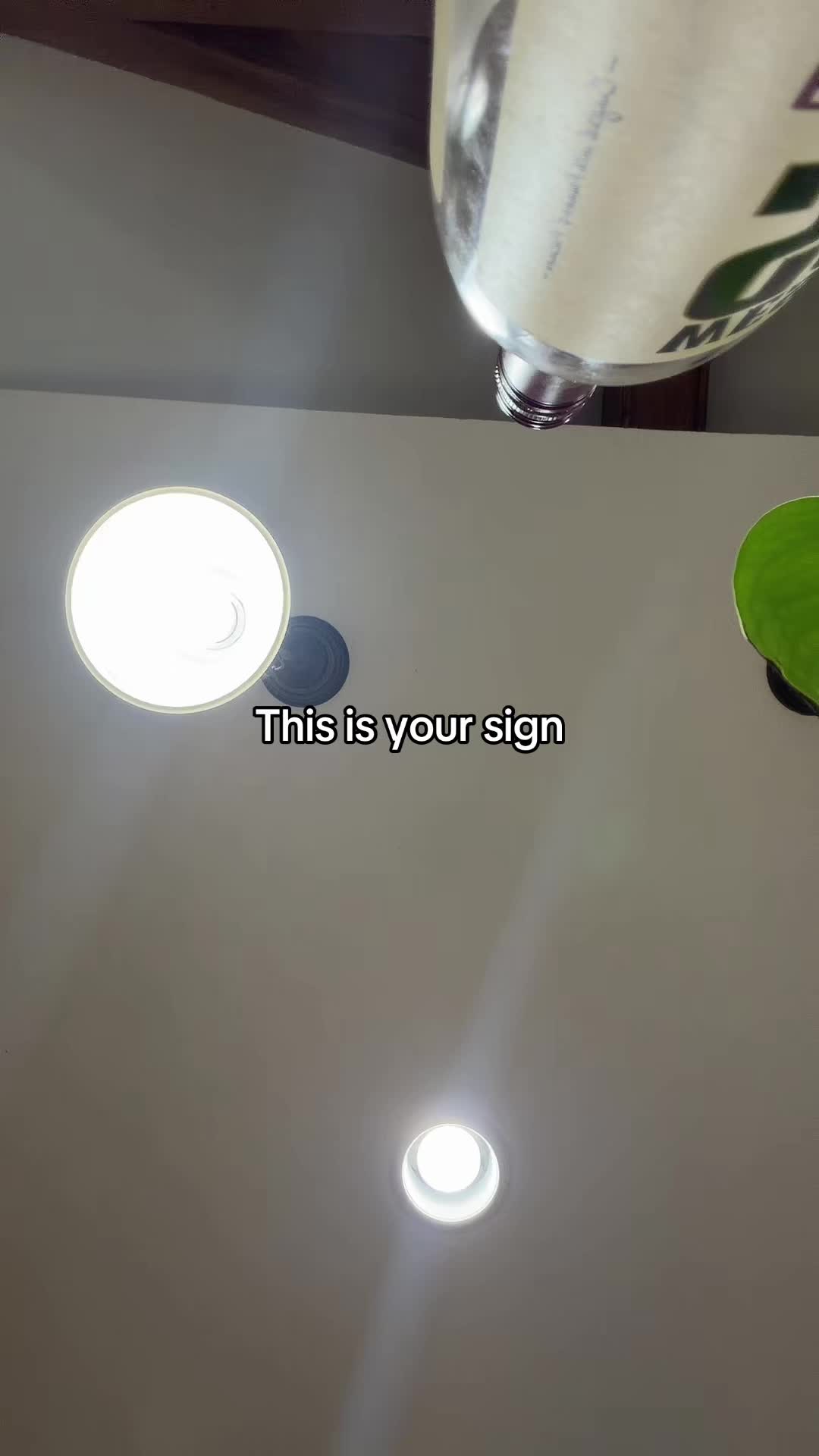 @ItsJustLanie