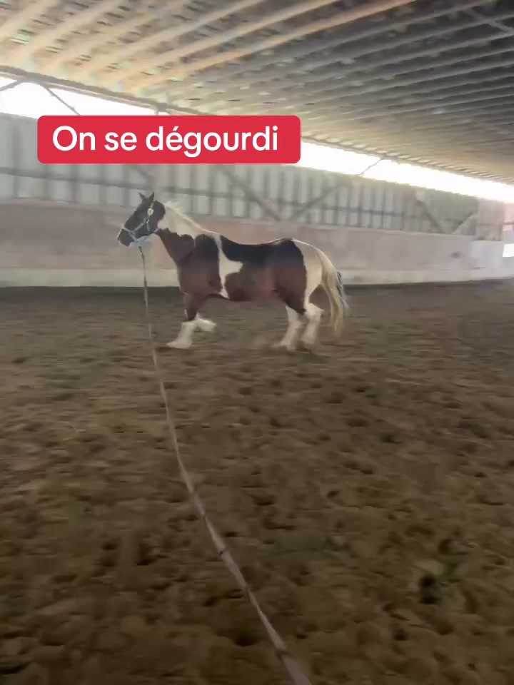 @SmokedCowboy