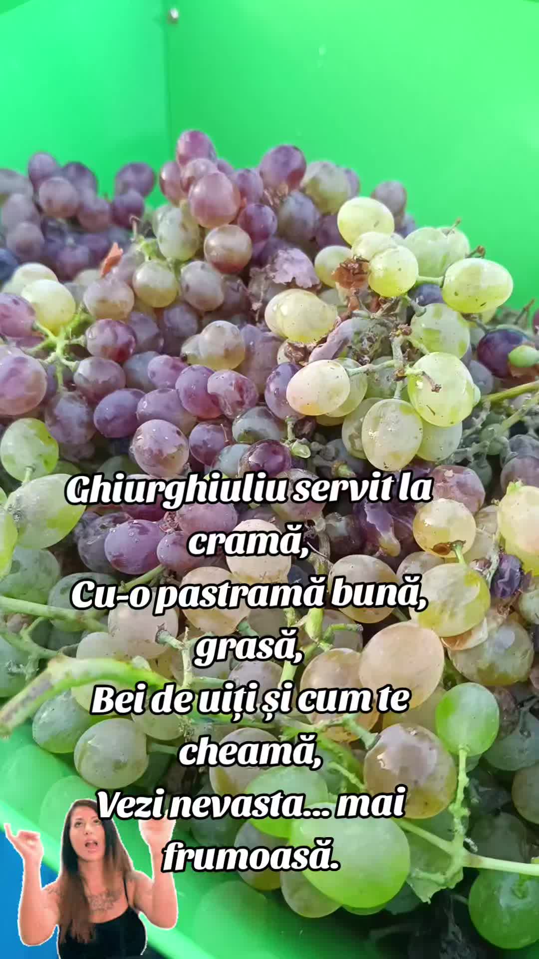 @Stefi Ciocan