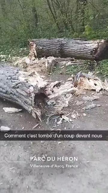 @Xéna La Guerrière