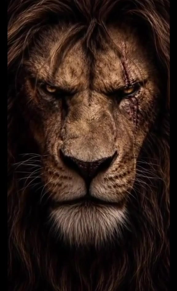 @⚜️Mr786⚜️