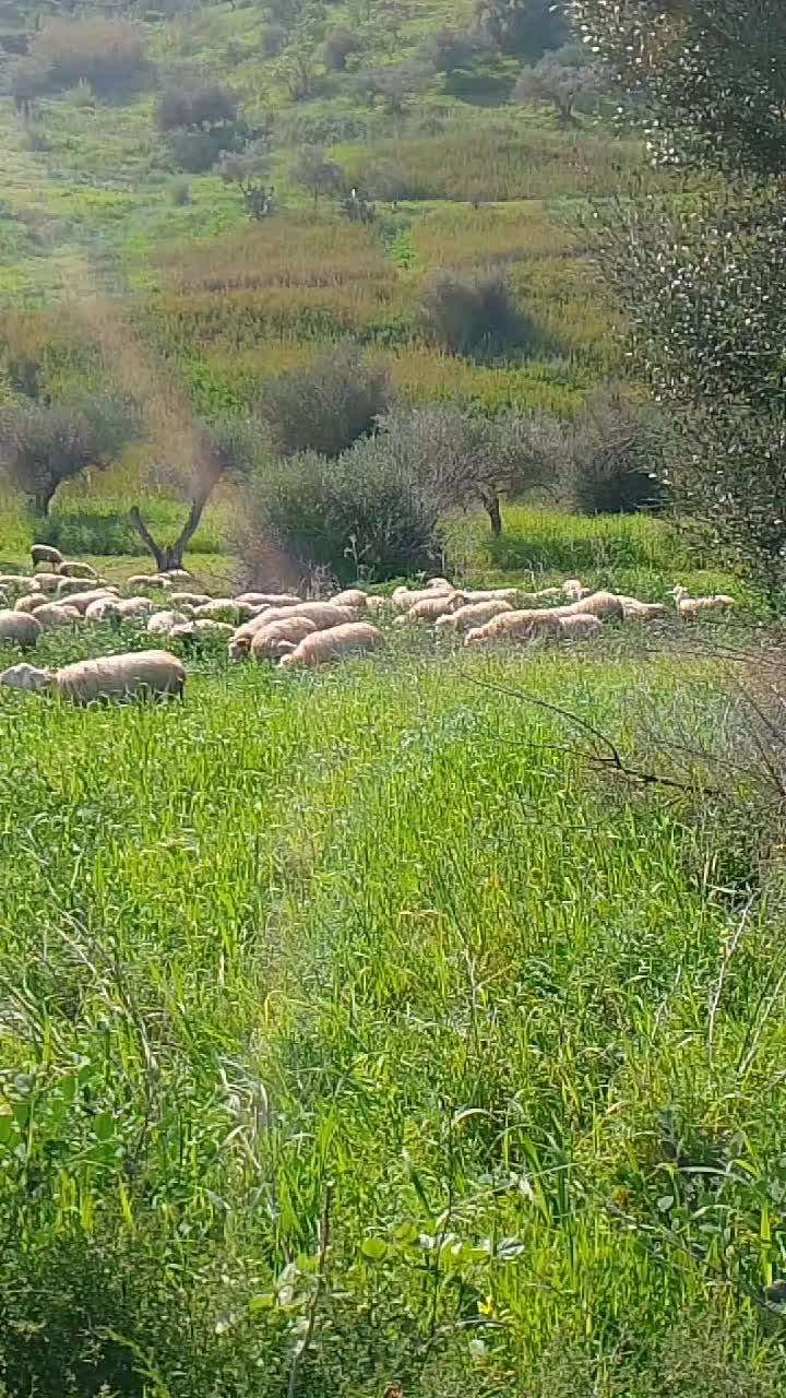 @@mauriziomule