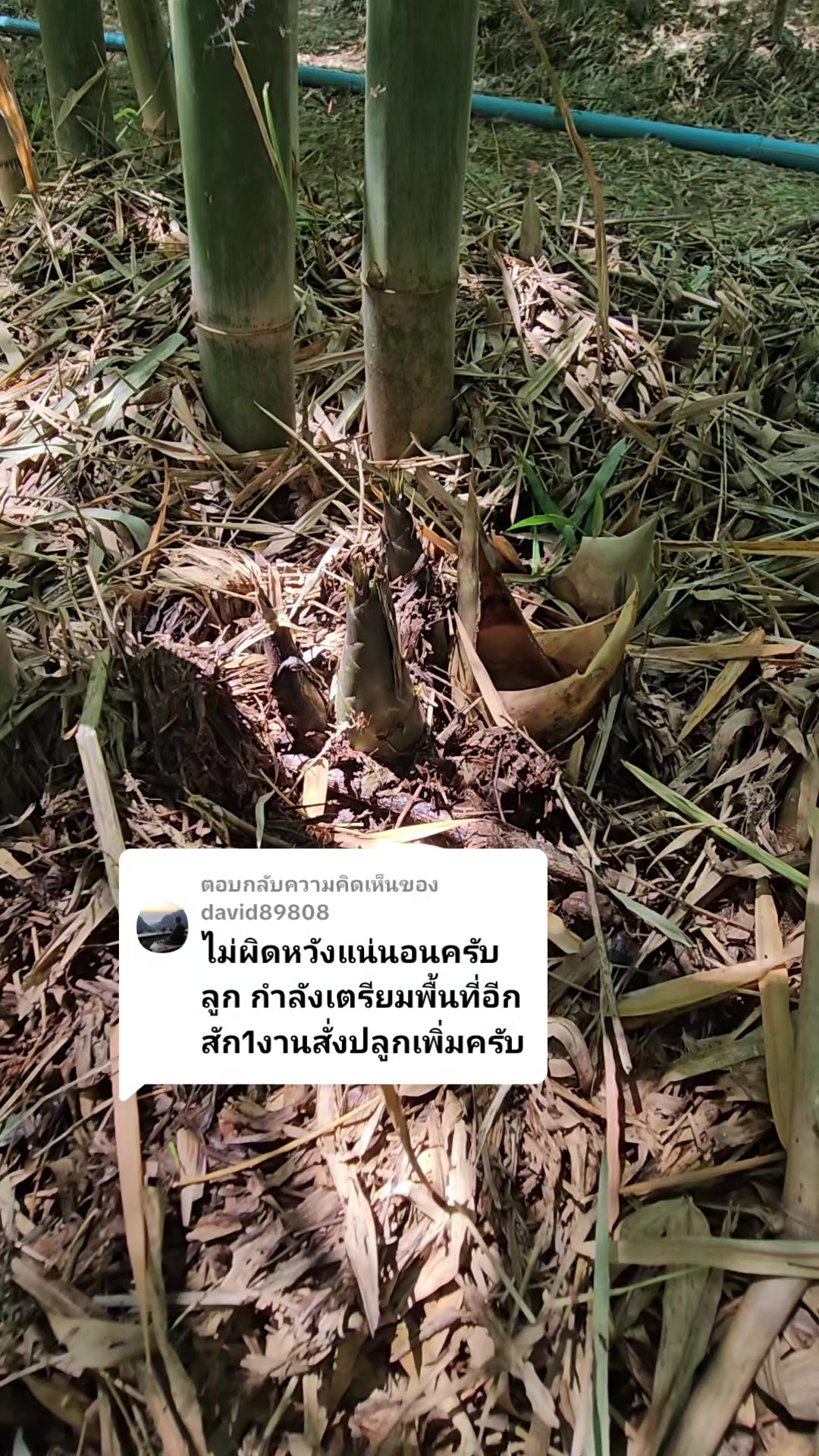 @นัดดาชอป