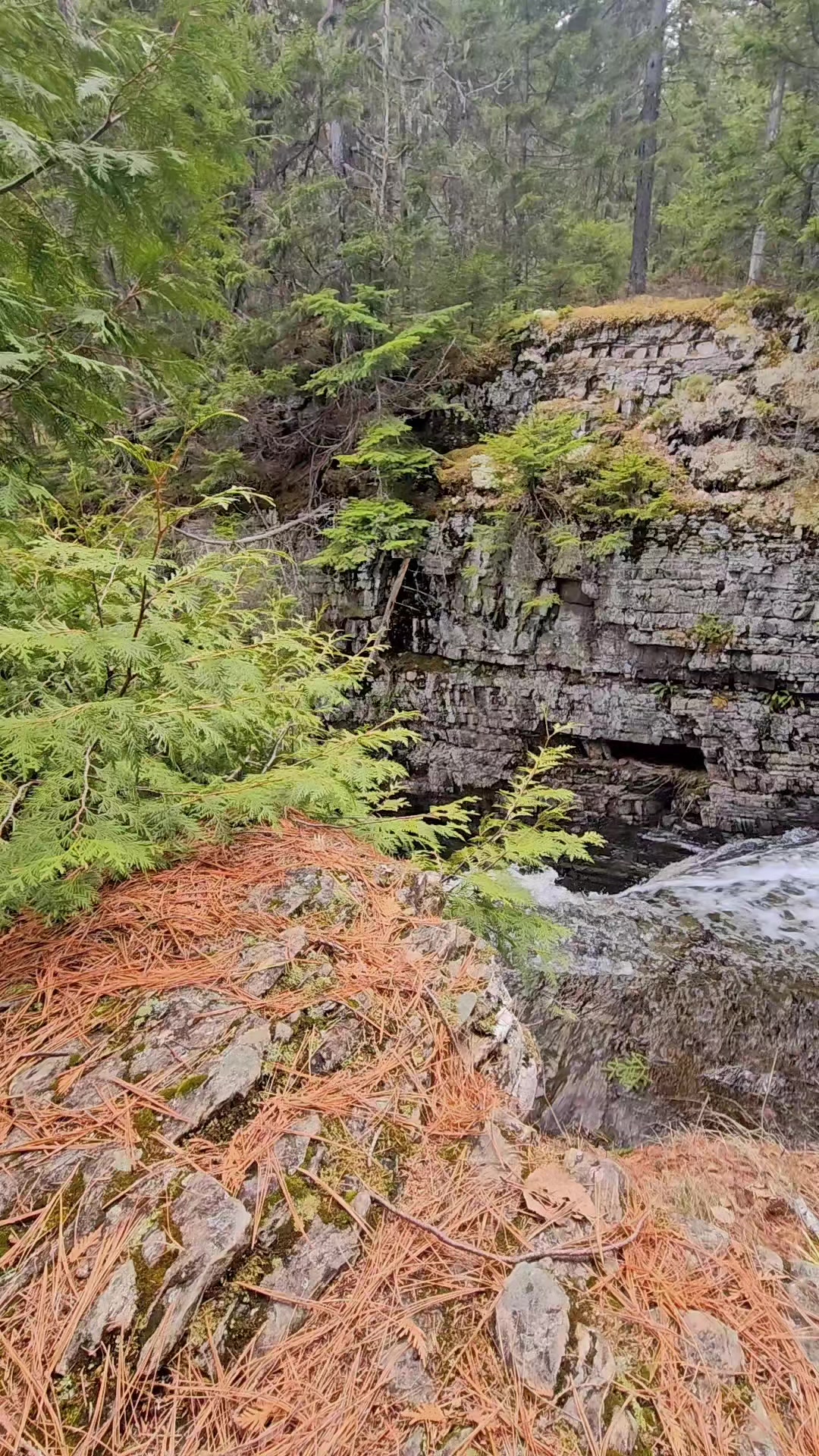 @Hiking_n'_Shit 🇨🇦