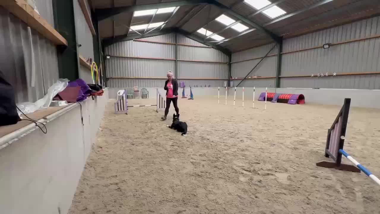 @Dirty paws dogs