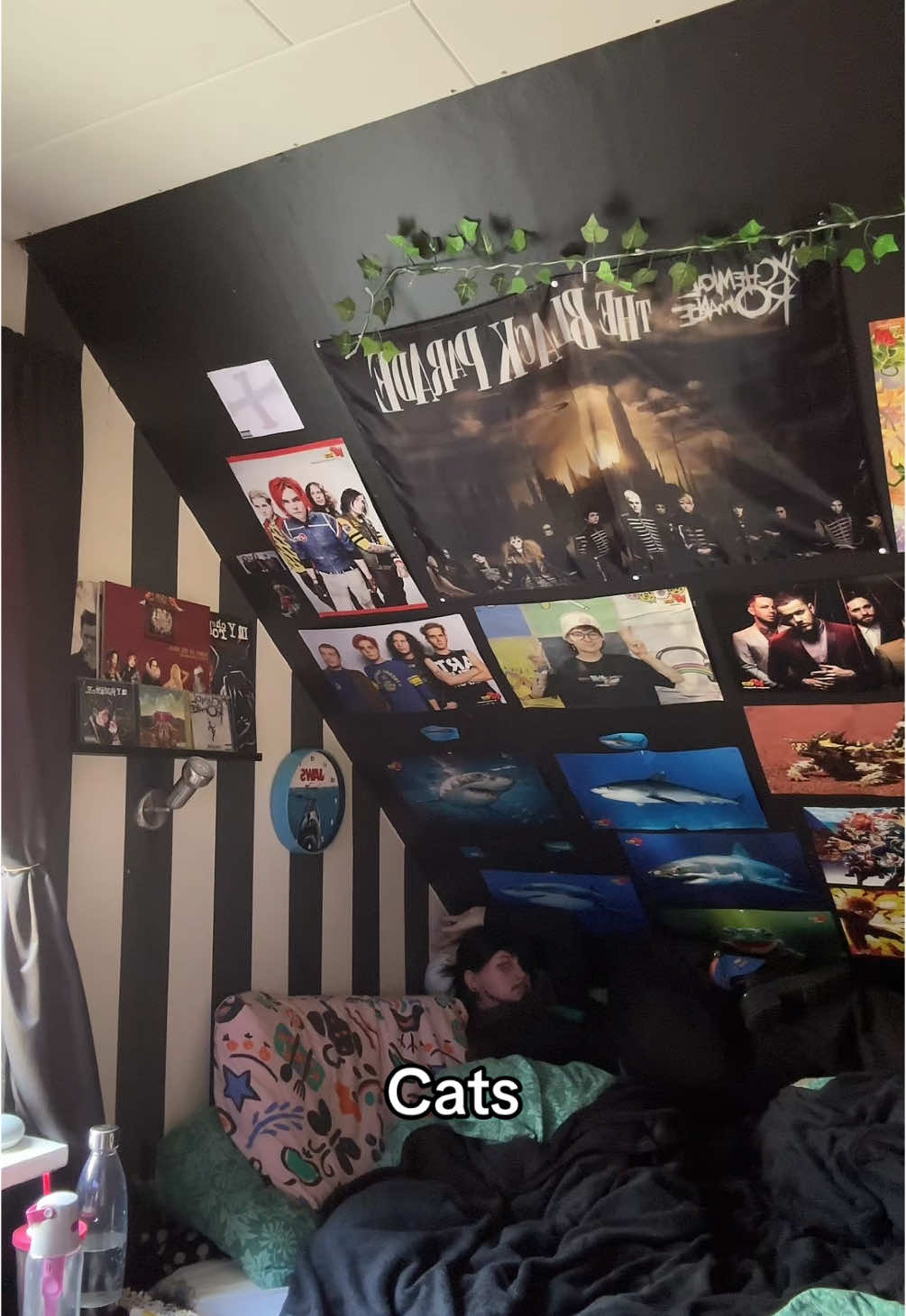 @𝐂𝐚𝐬