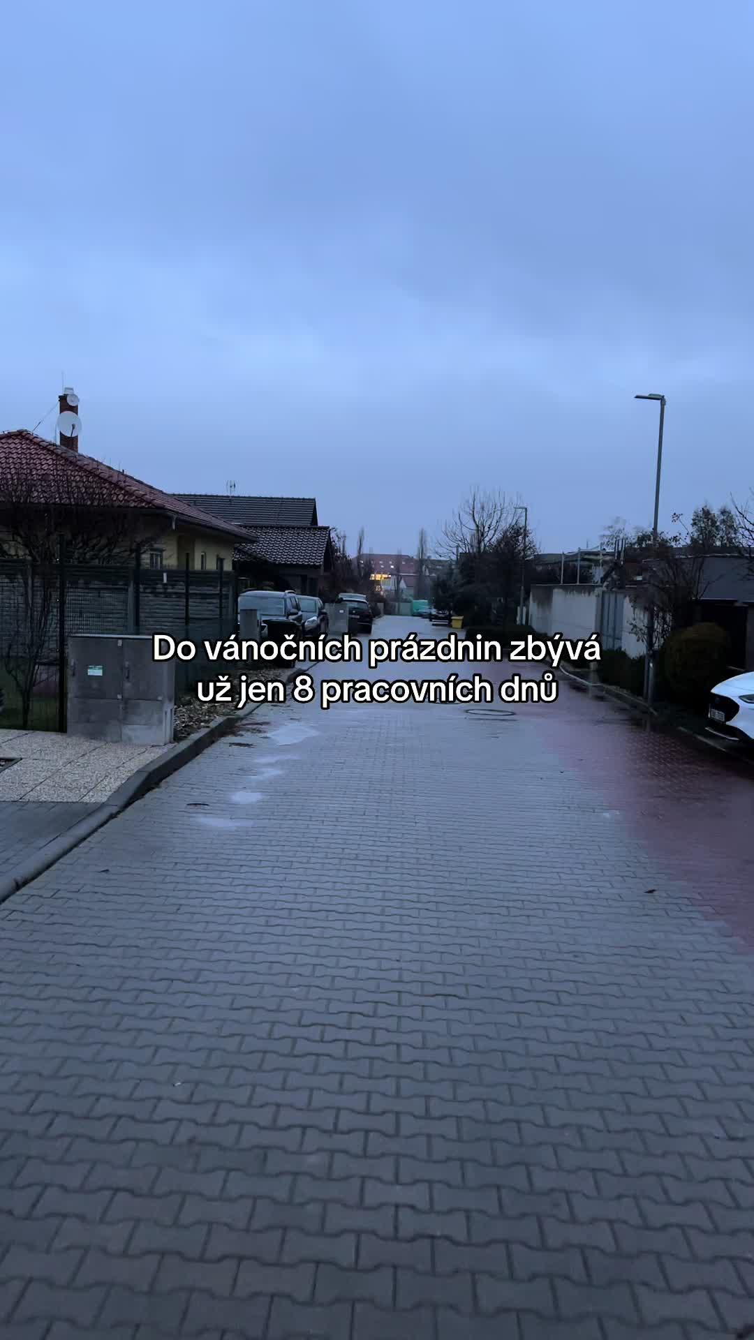 @prosteodpocty