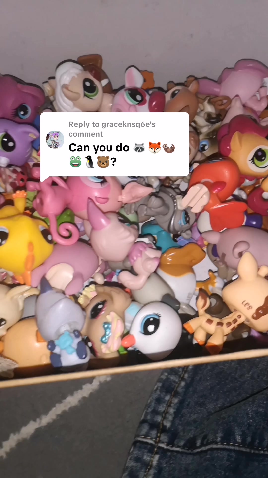 @Lps collecter🌺