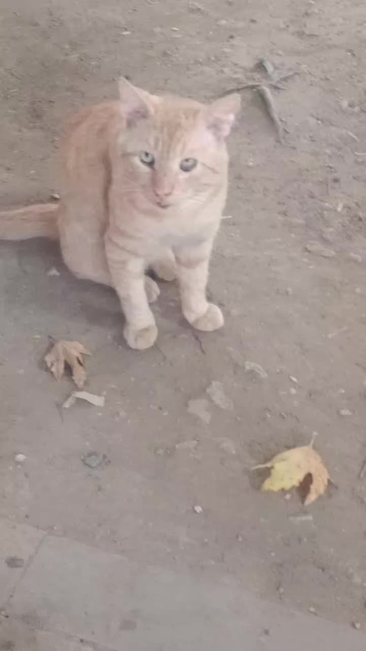 @minnoşlarim herşeyim♥️