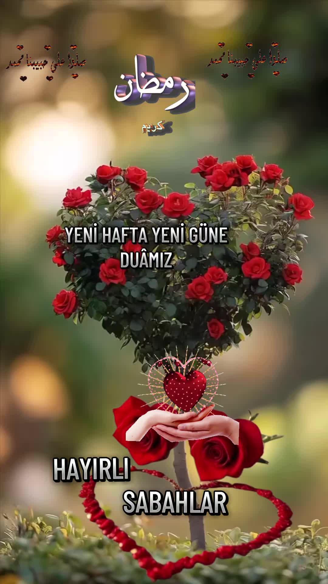 @🌿🌹🌸Merry🌹🌸🌿