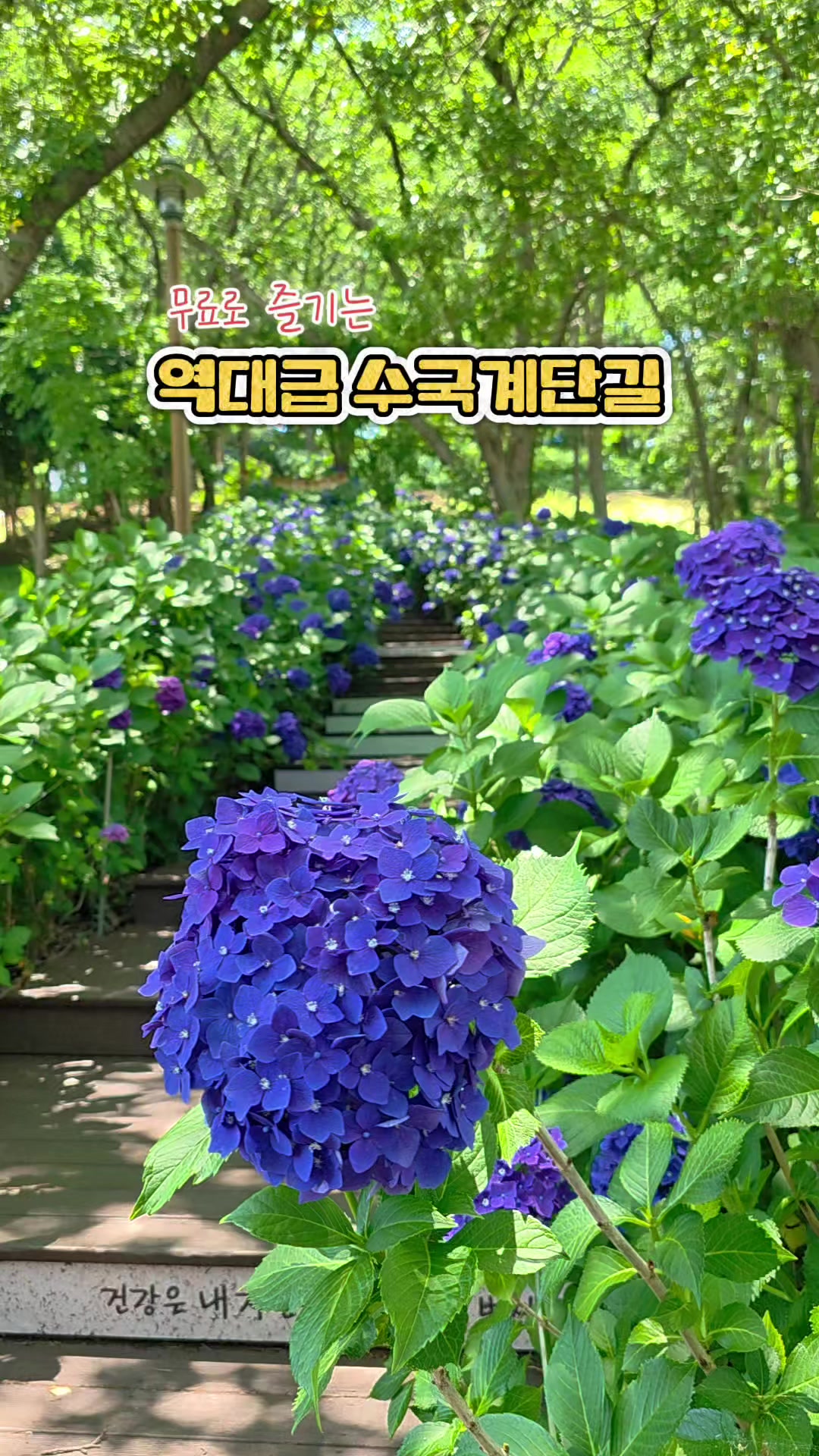 @ON로드 여행기