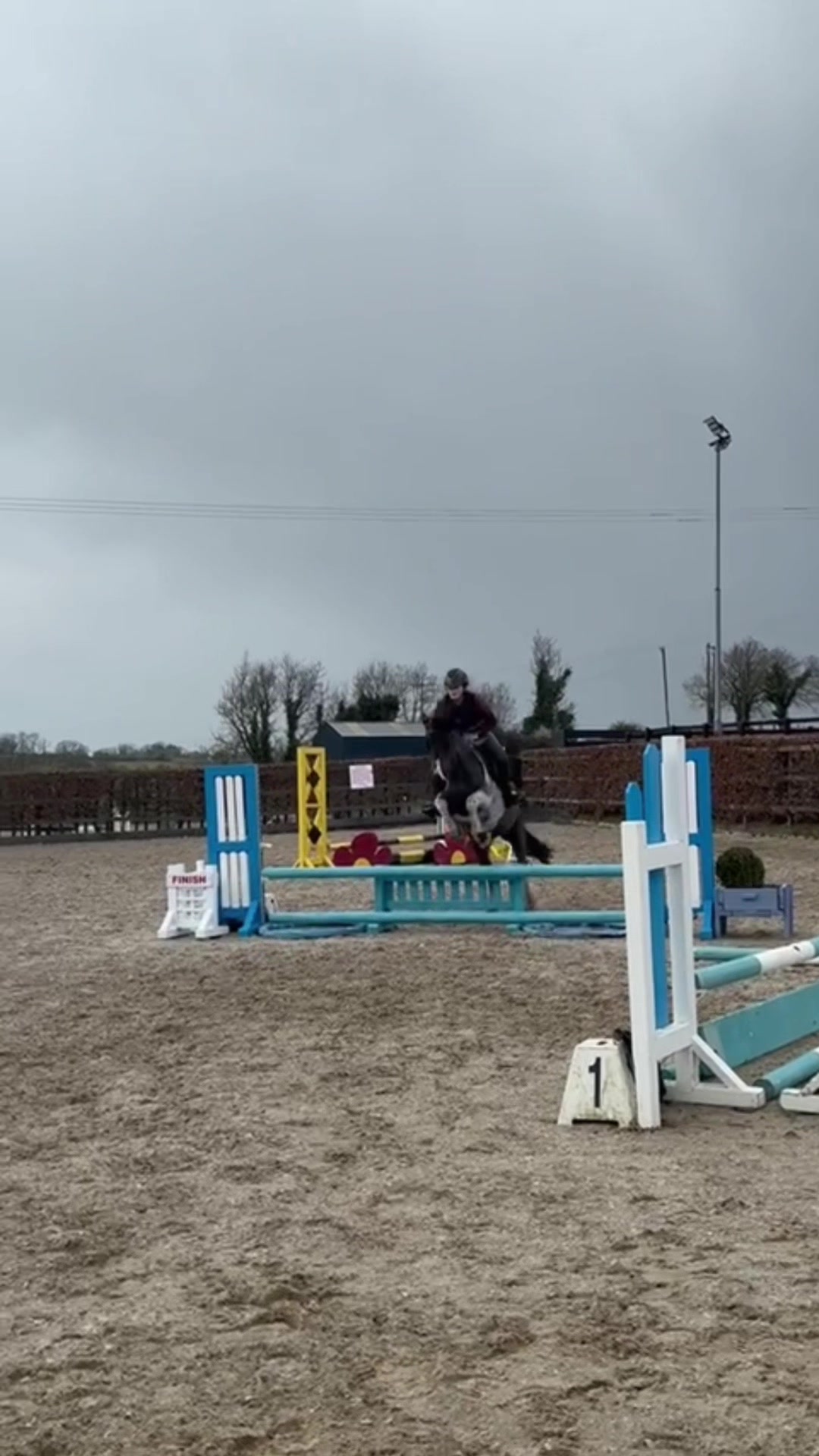 @Saoirse🪽🐎