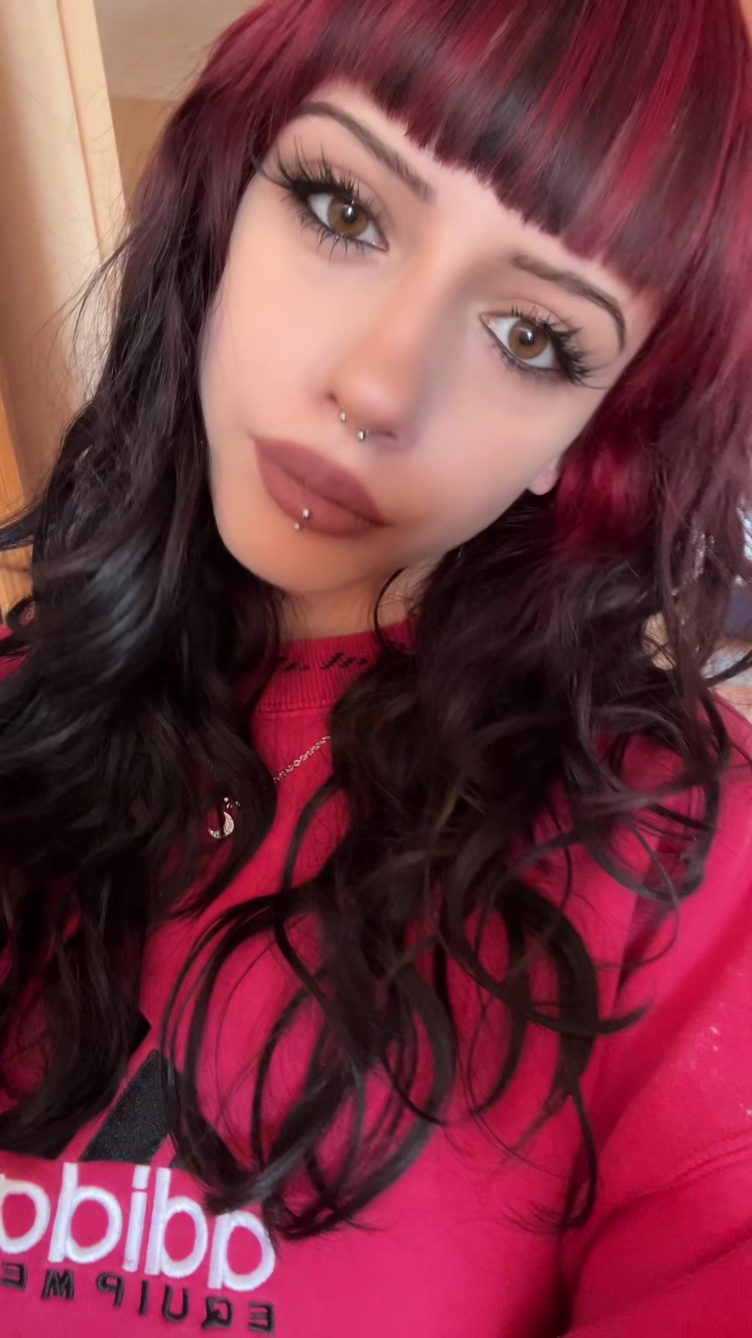 @lasagna