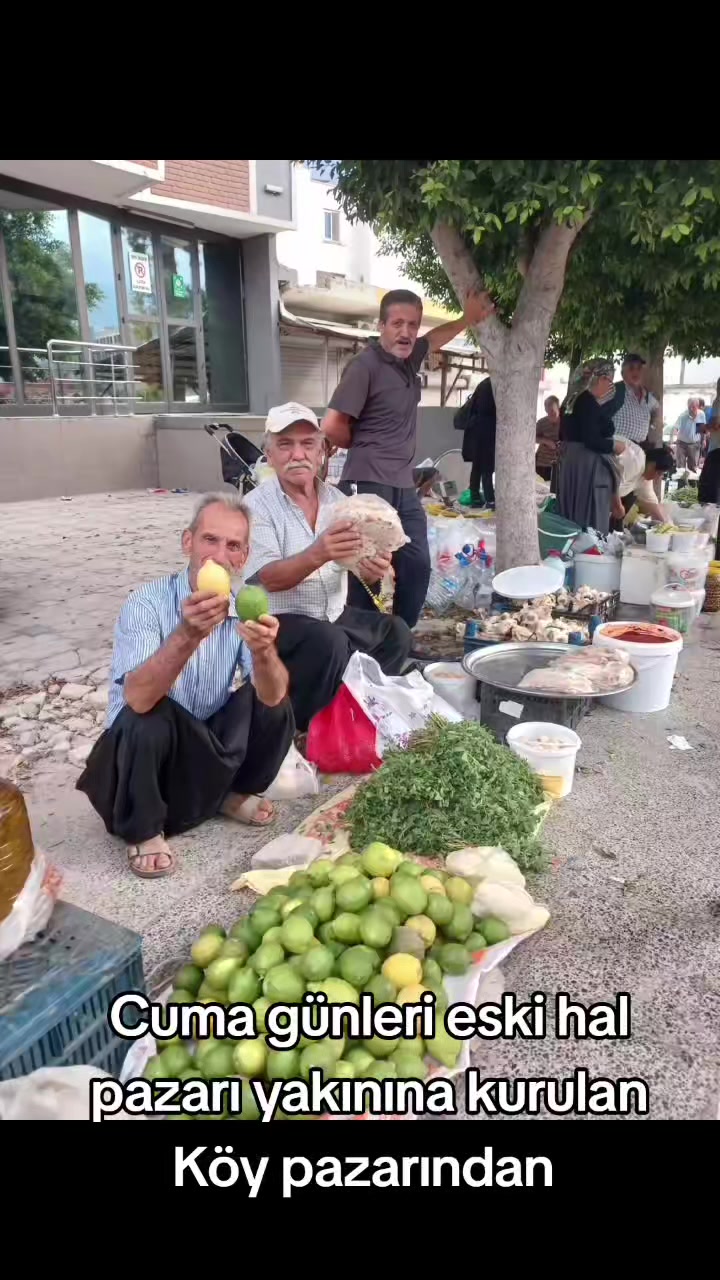 @iskenderunbülteni