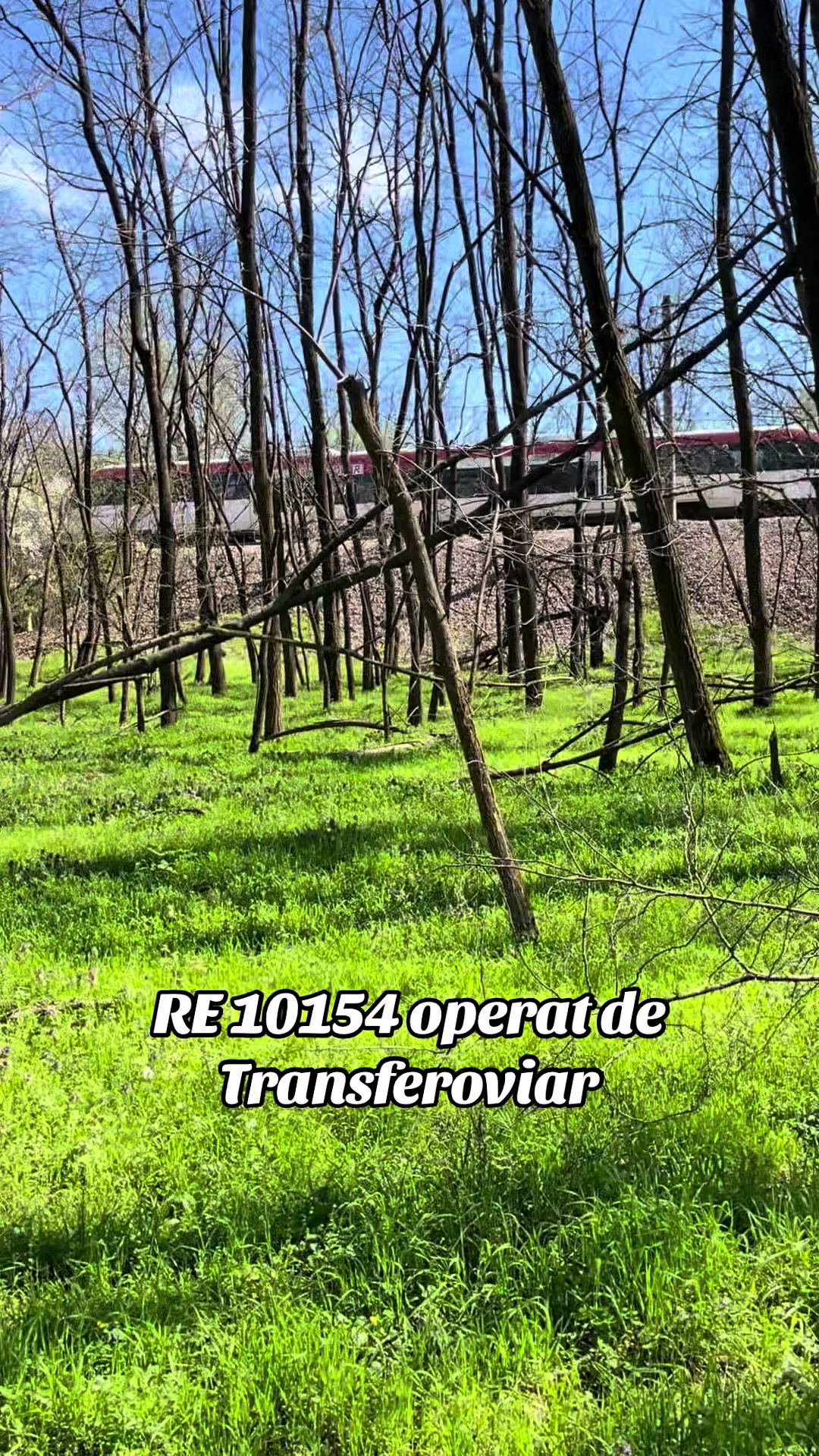 @Gabriel Avramovici