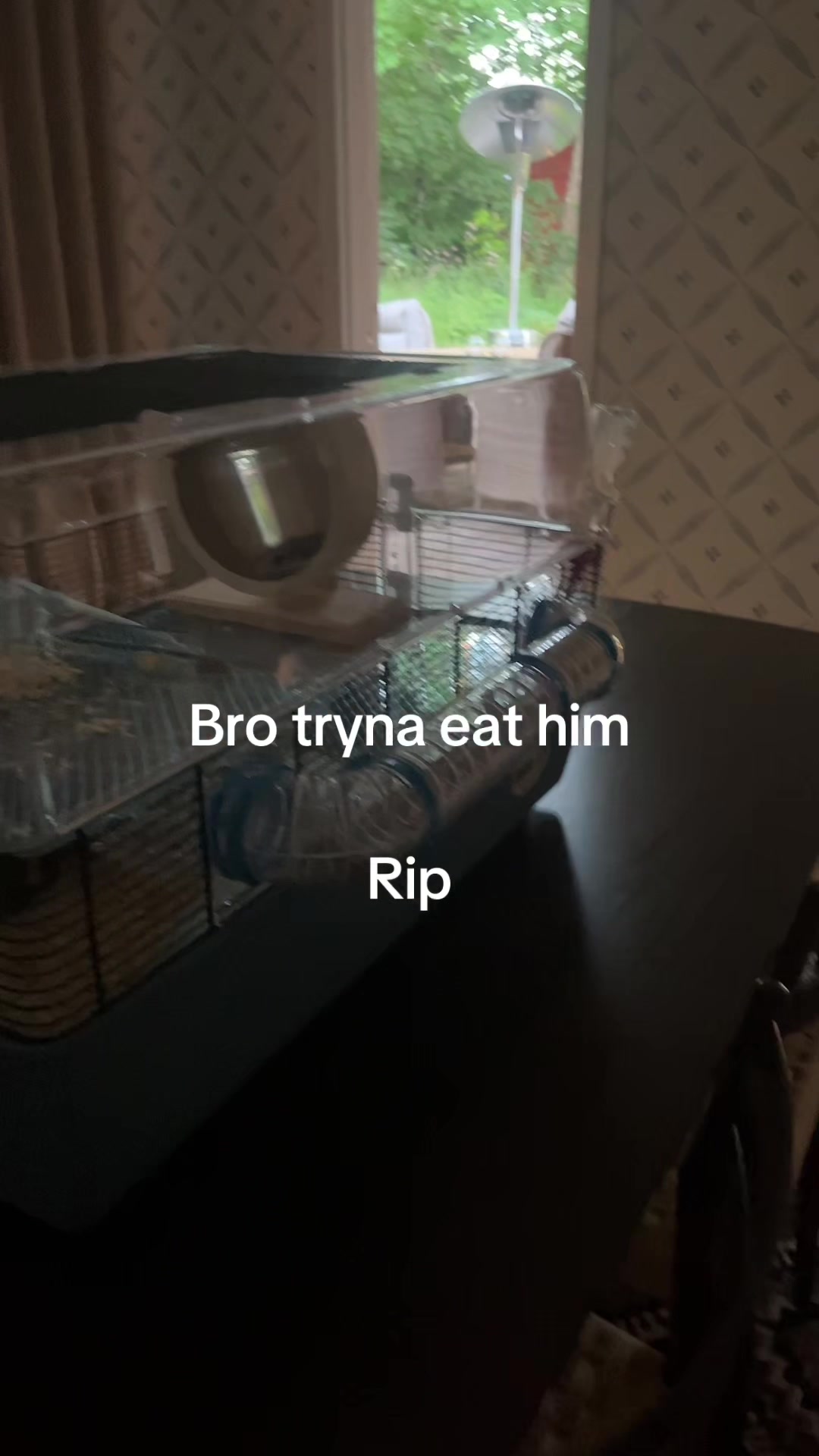 @Todo