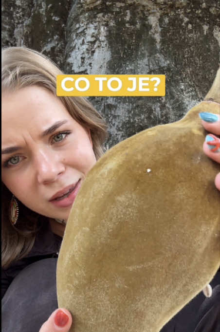 @Puf