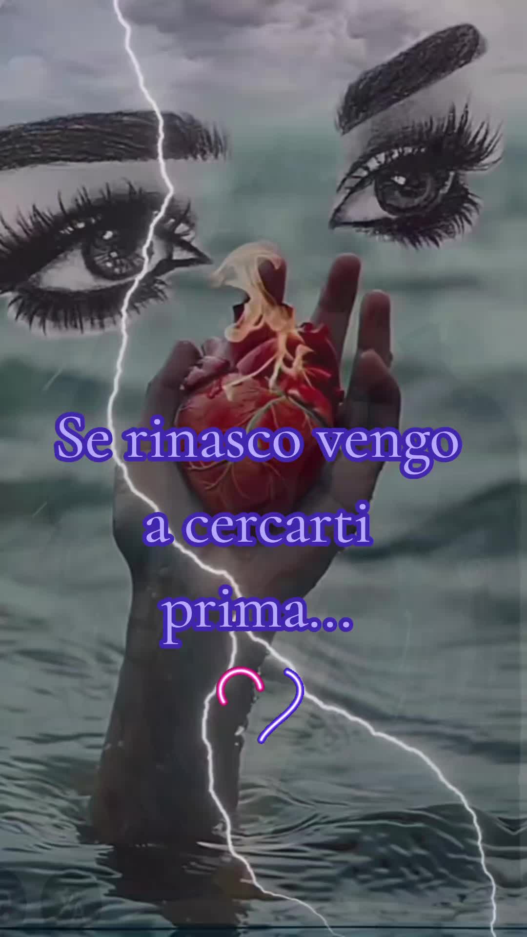 @Aldo Fusco orso 🧸