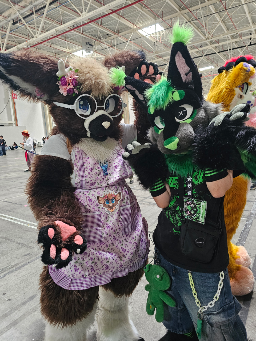 @🦌🇷🇴Yara_wolf🇷🇴🦌