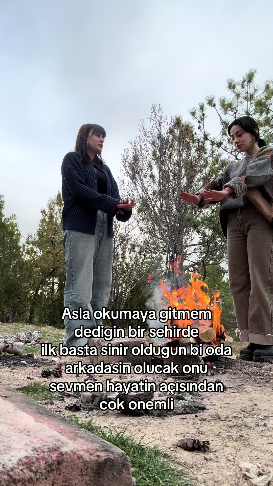 @Reynaa