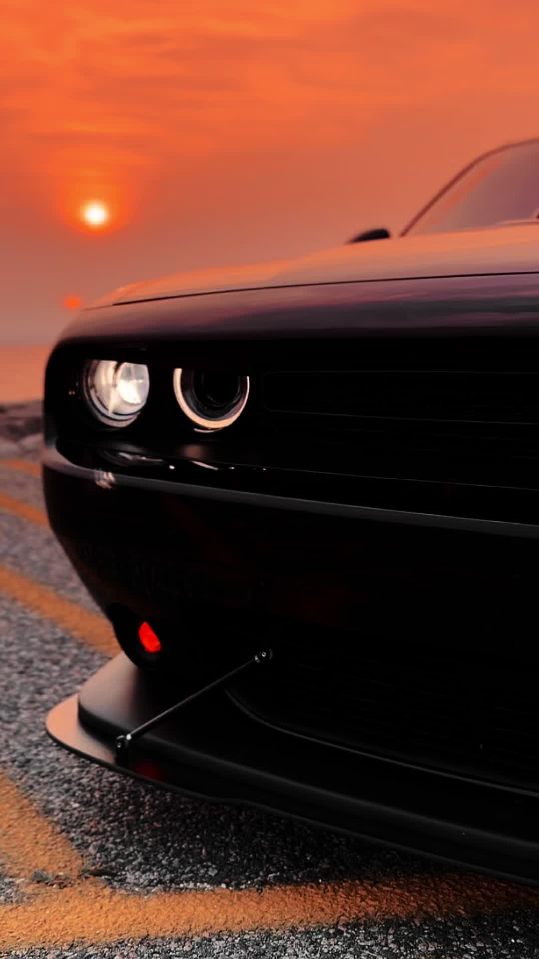 @Scatpack Bee 🐝