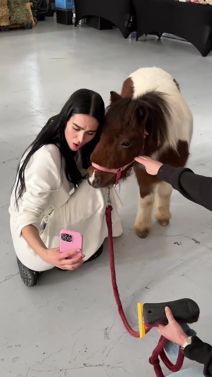 @ameliagray