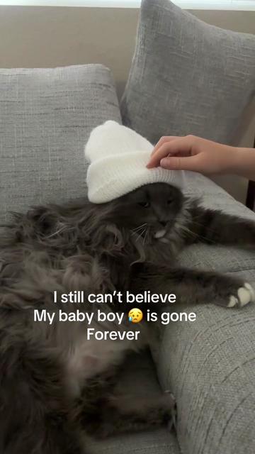 @Sonnyboy 🐈 Staci RN