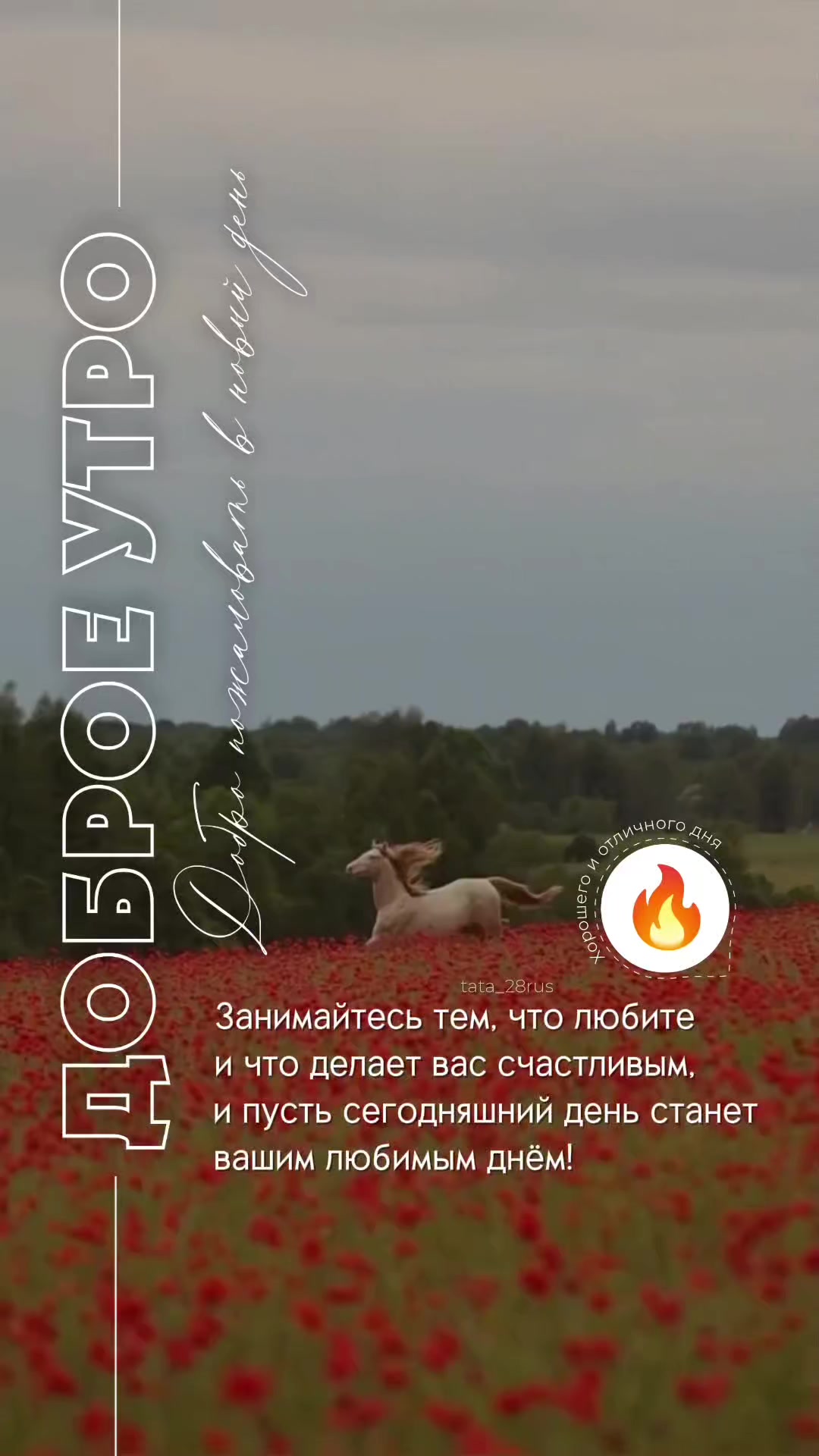 @Tata_Amyrka 🇷🇺