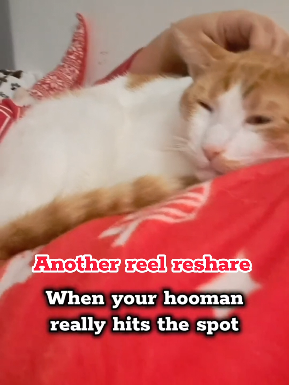 @Candice & Weasley