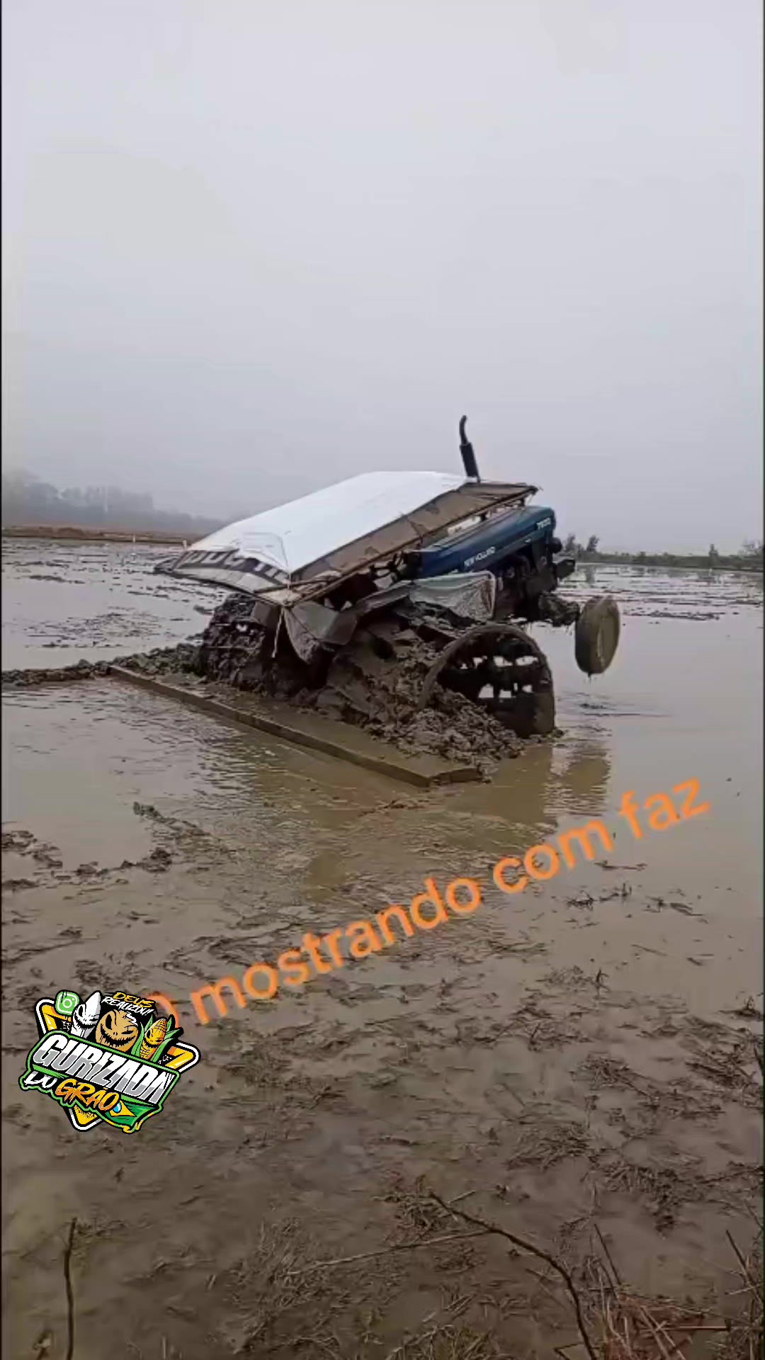 @Gurizada Do Grão Oficial