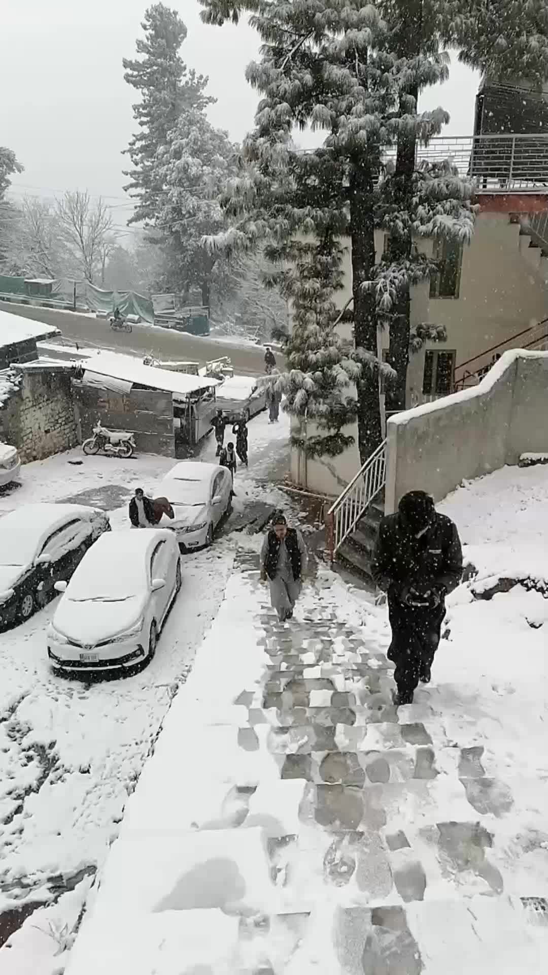 @عـــــــــــزیز مہمــــــــند