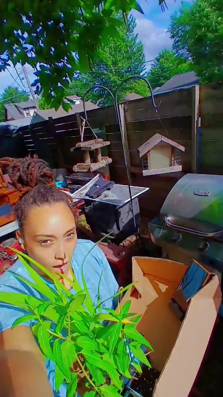 @Alicia ✨️🌱🐛