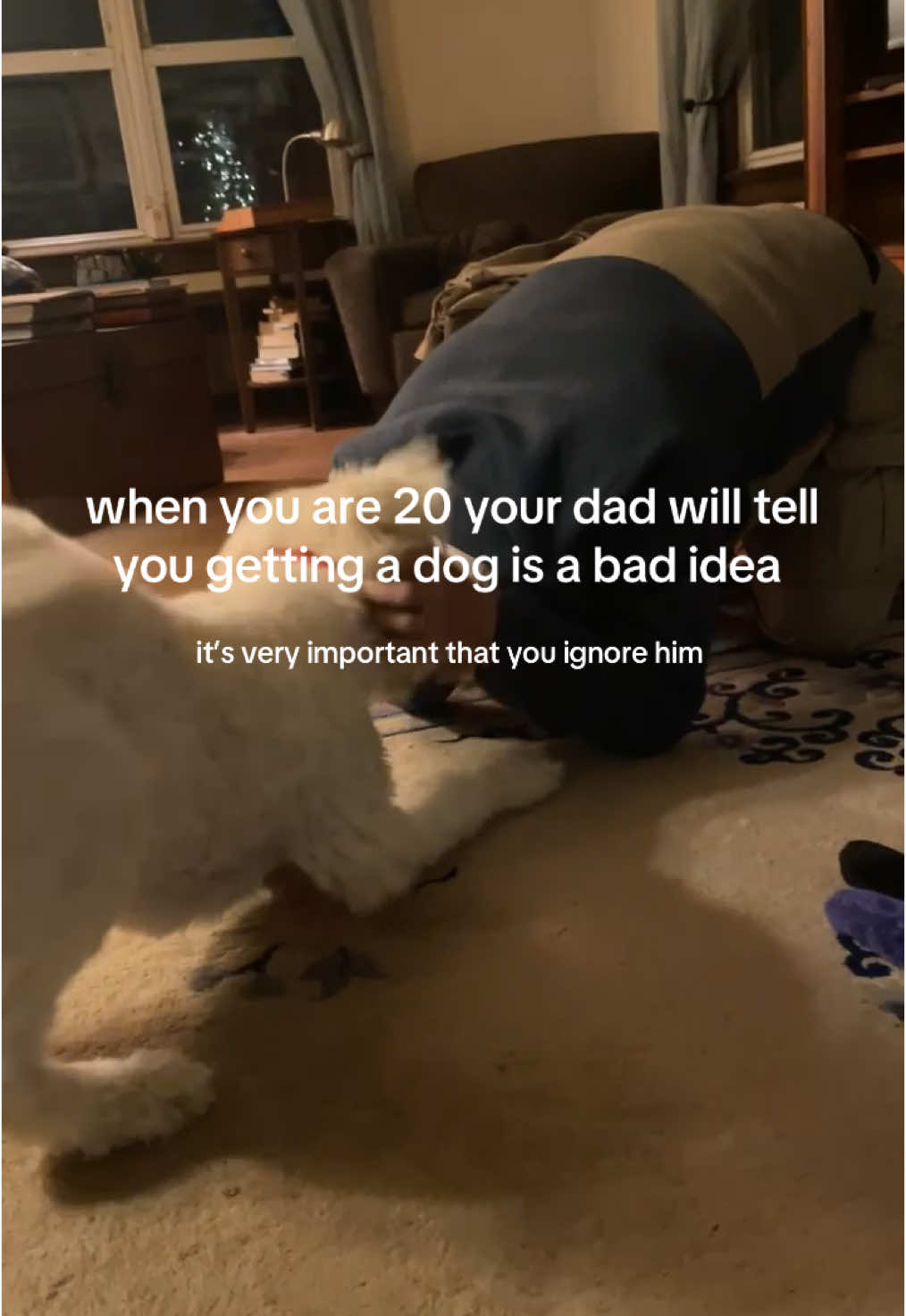 @sammy