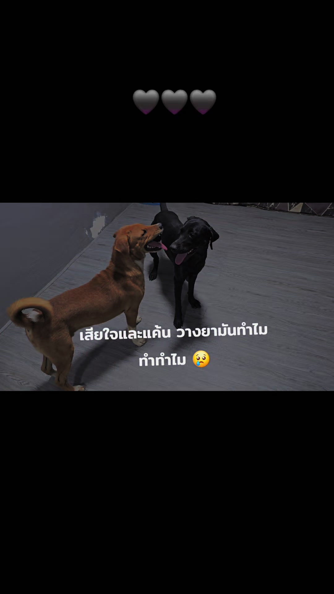 @อาร์ม วุฒิกร