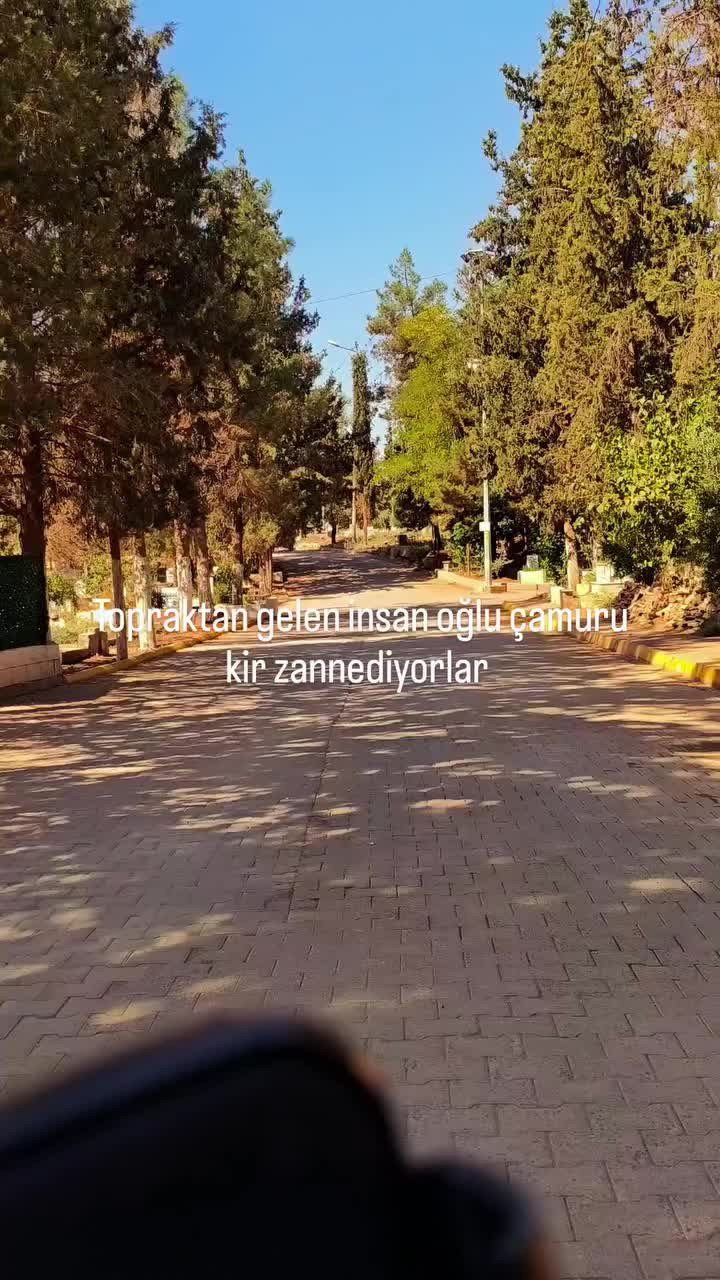 @Mehmet Beken💎
