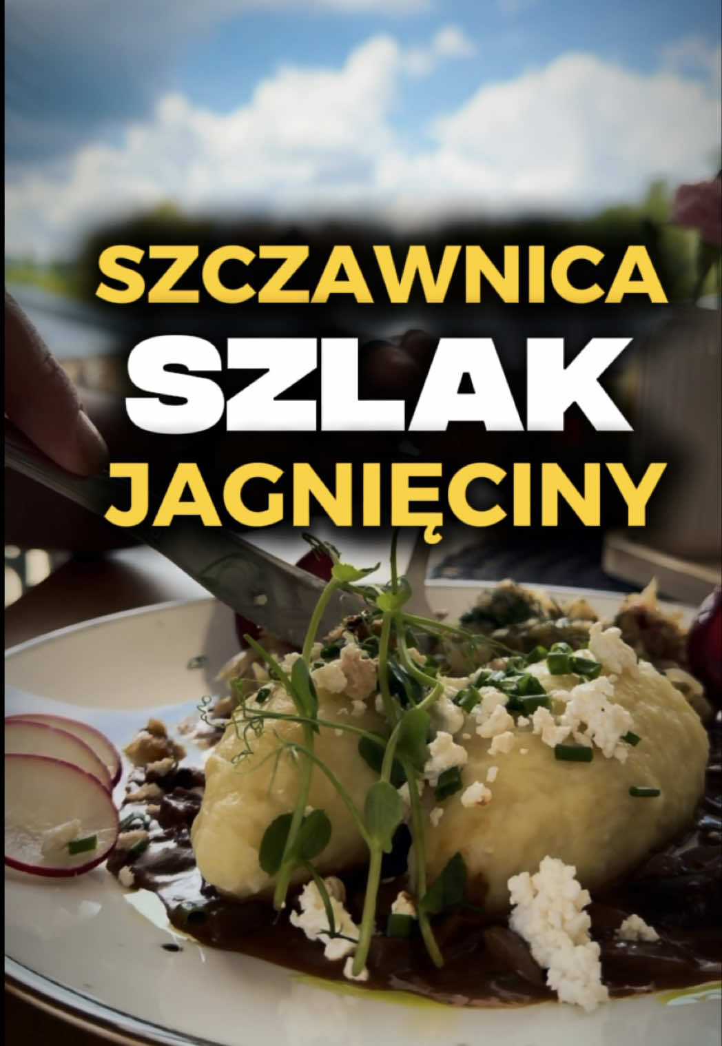 @HASAJĄCE ZAJĄCE