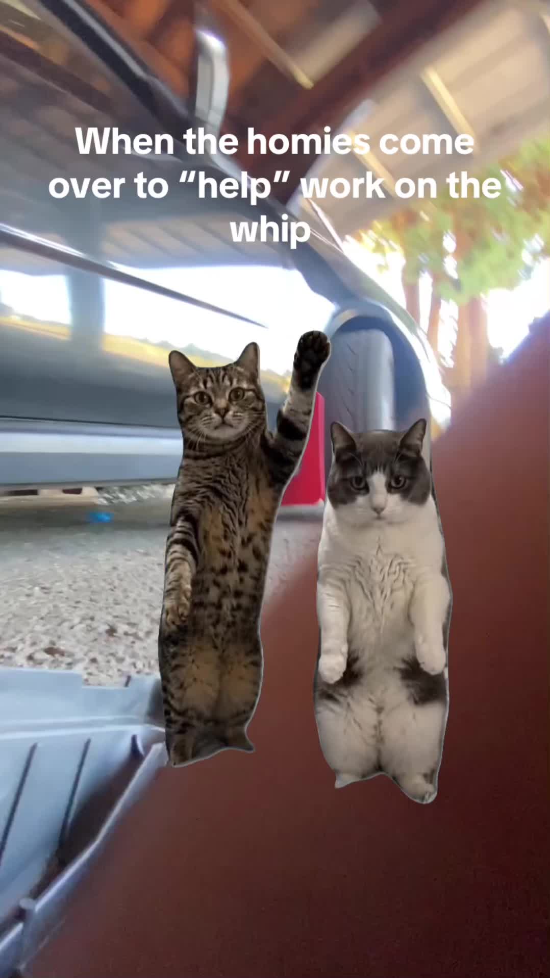 @BlueCheeseUchies