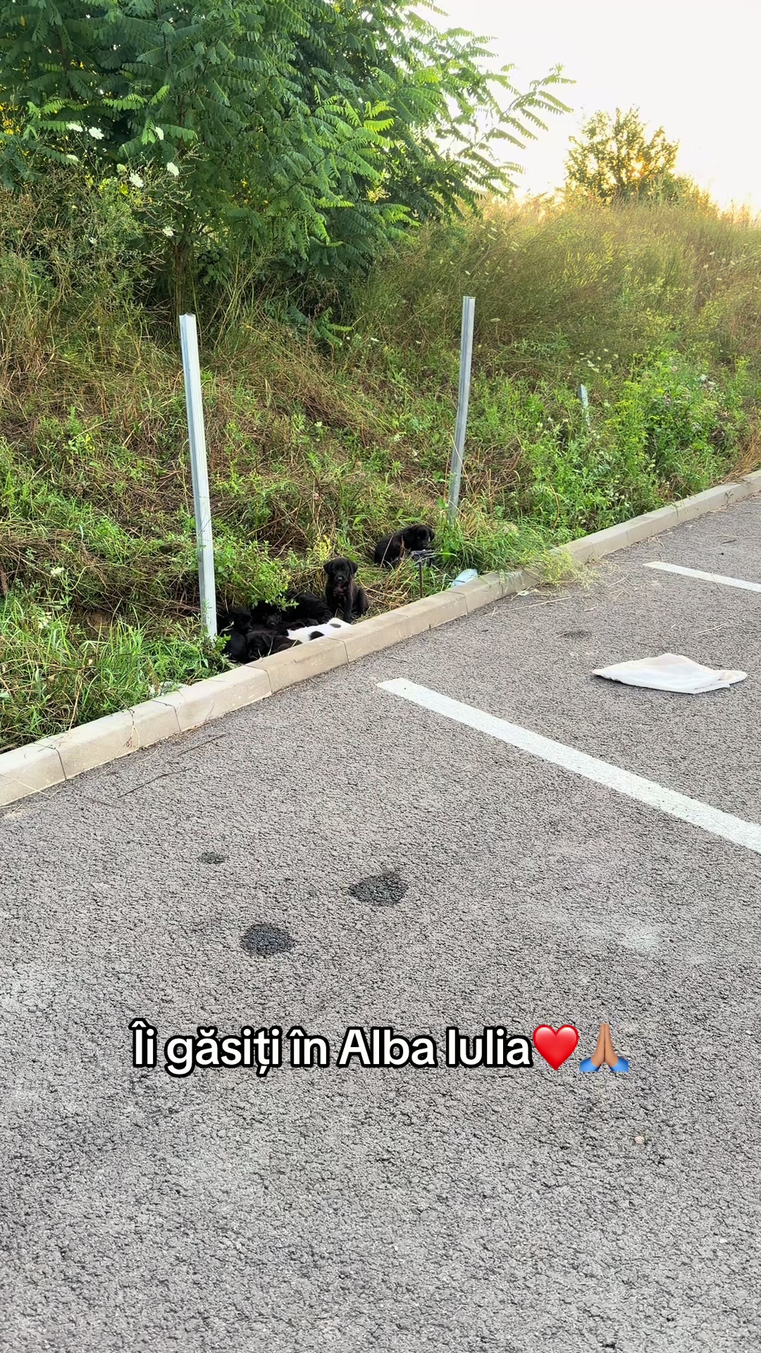 @Alexandra Cotruș