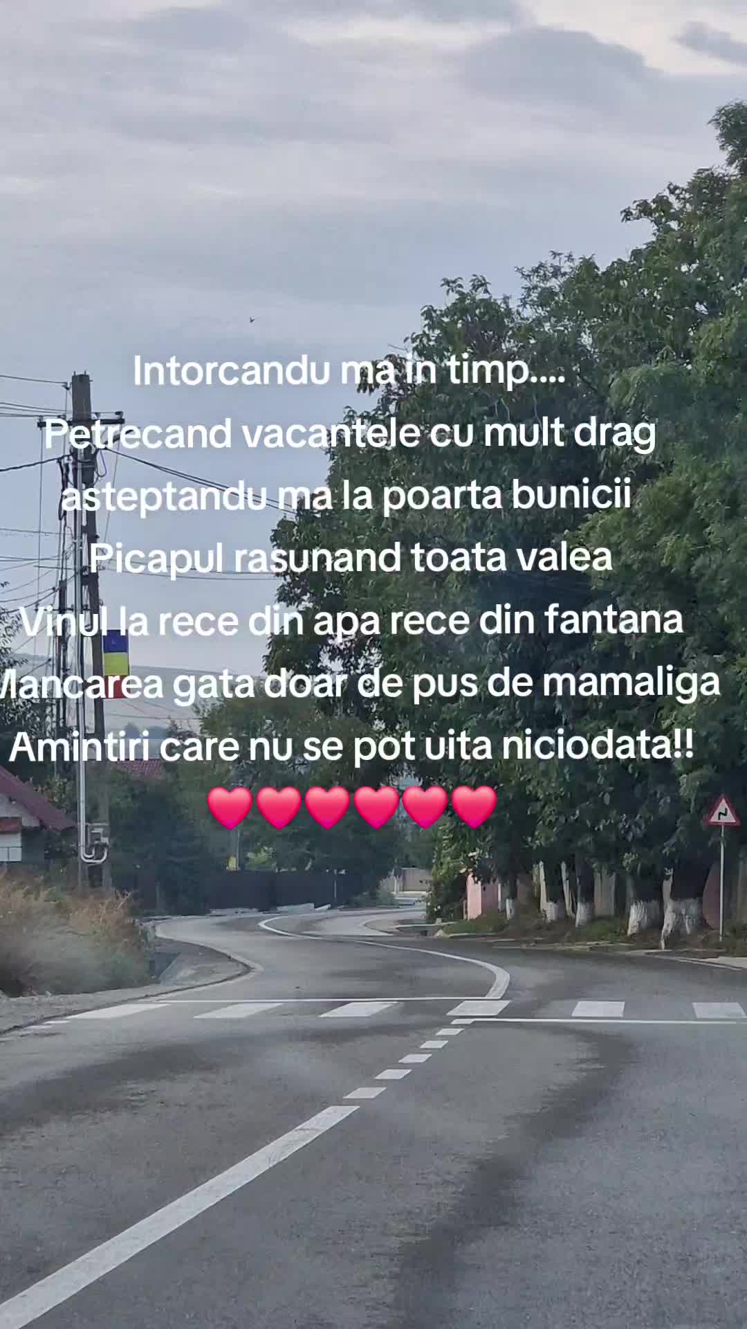 @iulianaalistar