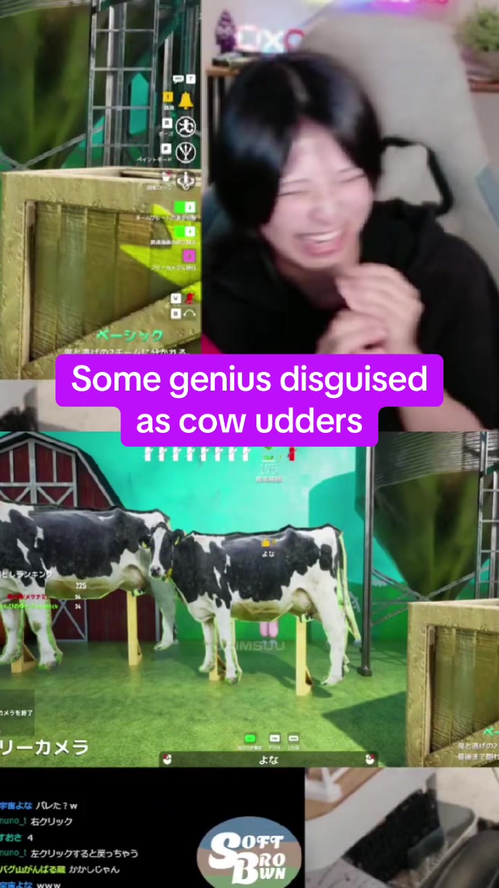 @jaimsuu