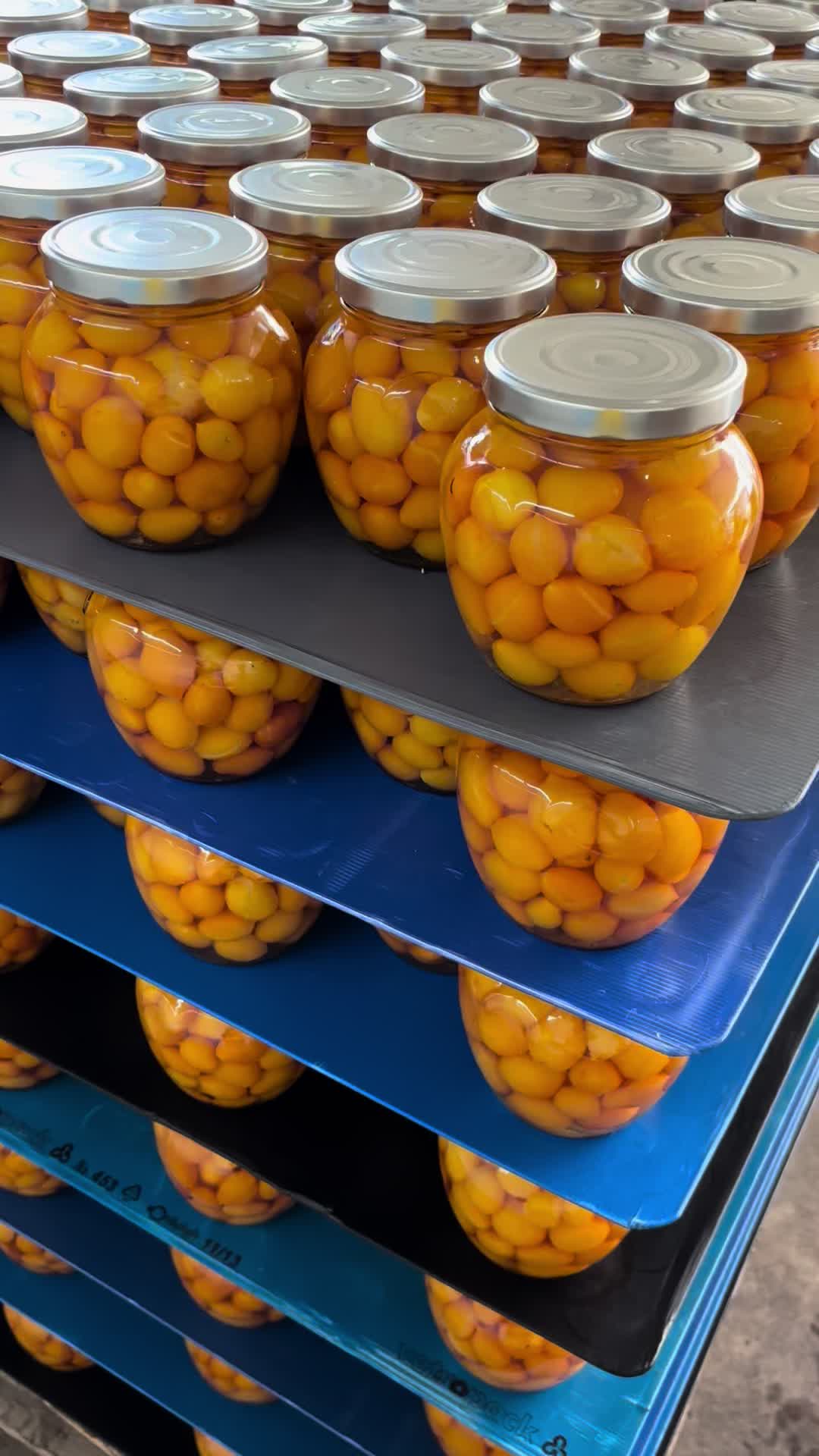 @ICE FRESH AZ AGRICOLA