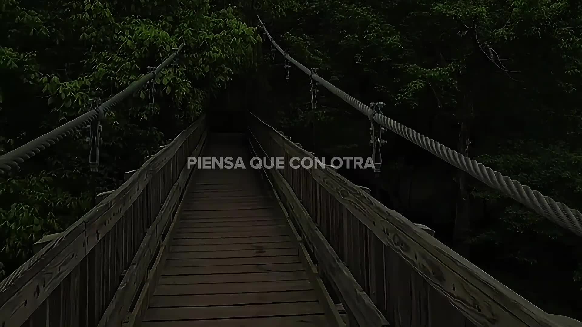@· Rolitas ·