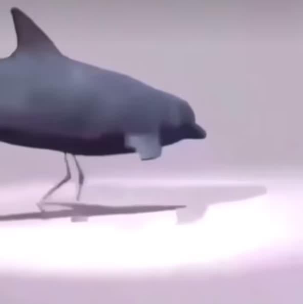 @macey 𓆝 𓆟 𓆞