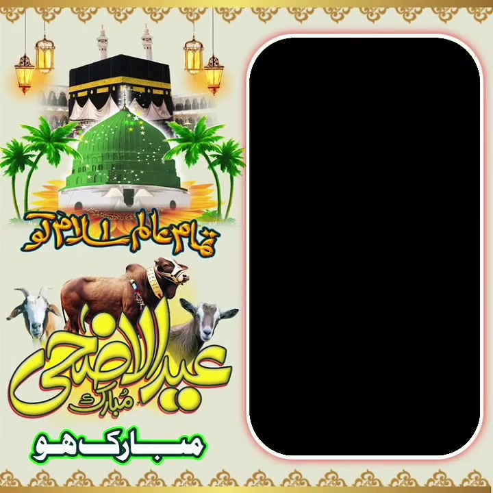 @Touseef Mughal