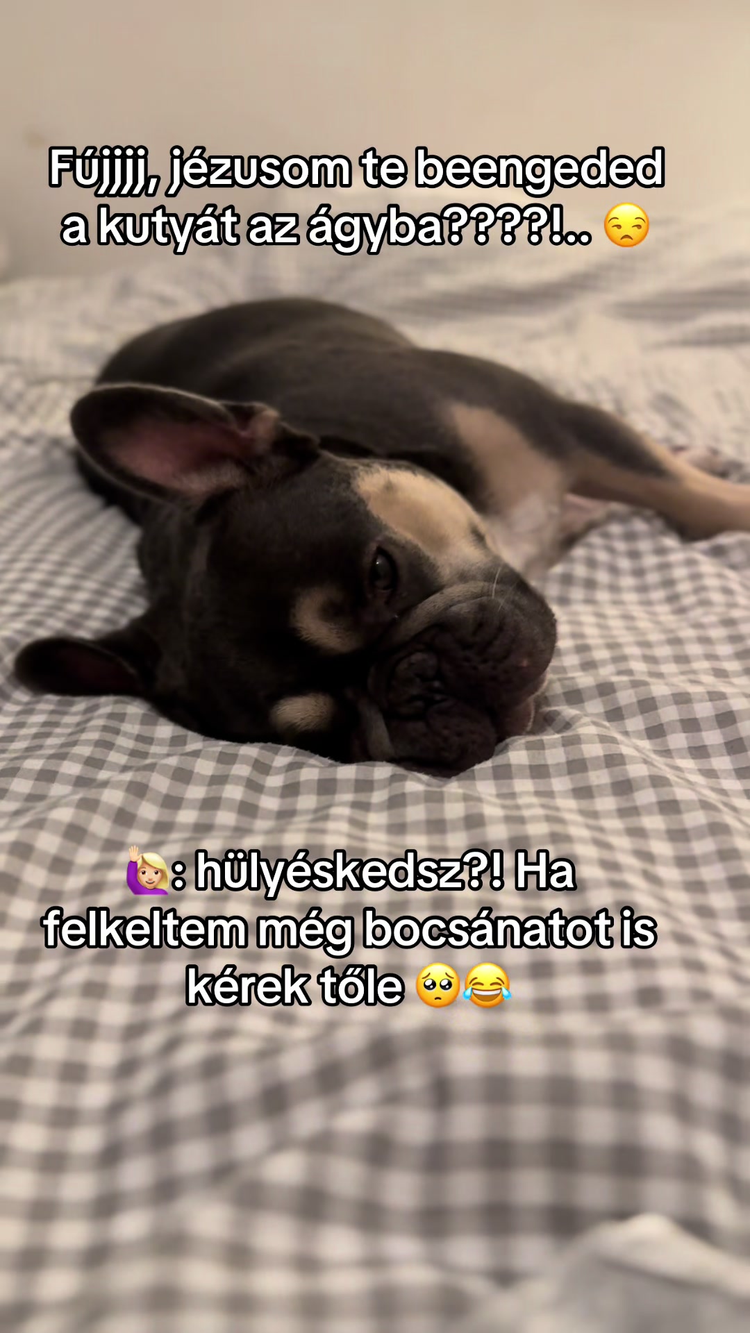 @Zsanzy Taki