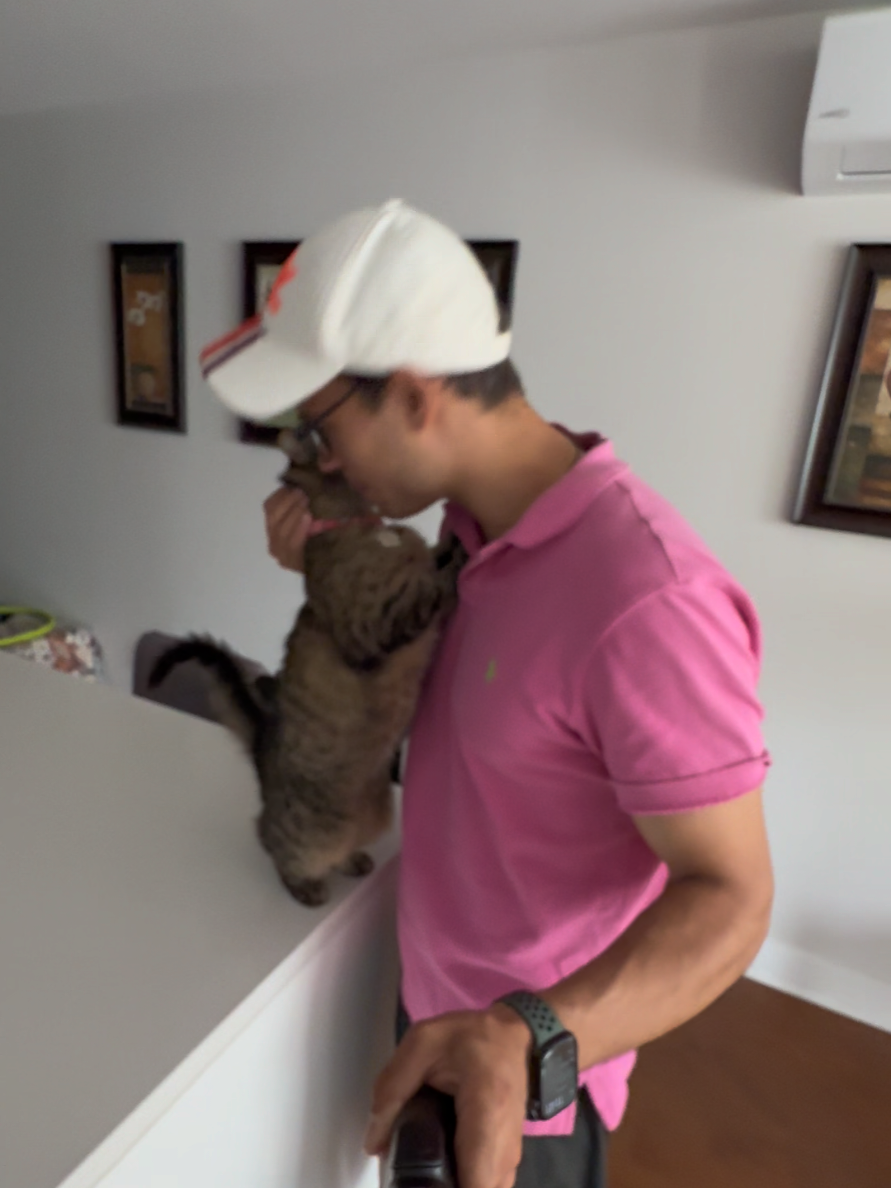 @Bellarda the cat