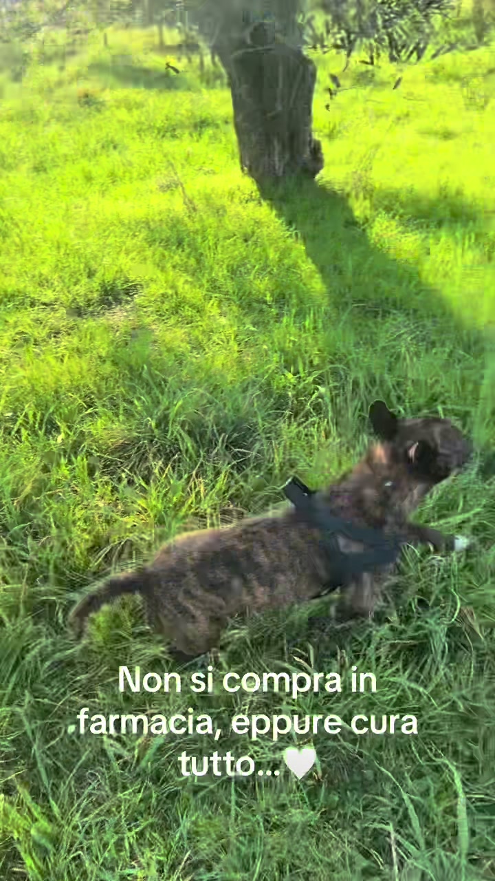 @Caterina Turillazzi