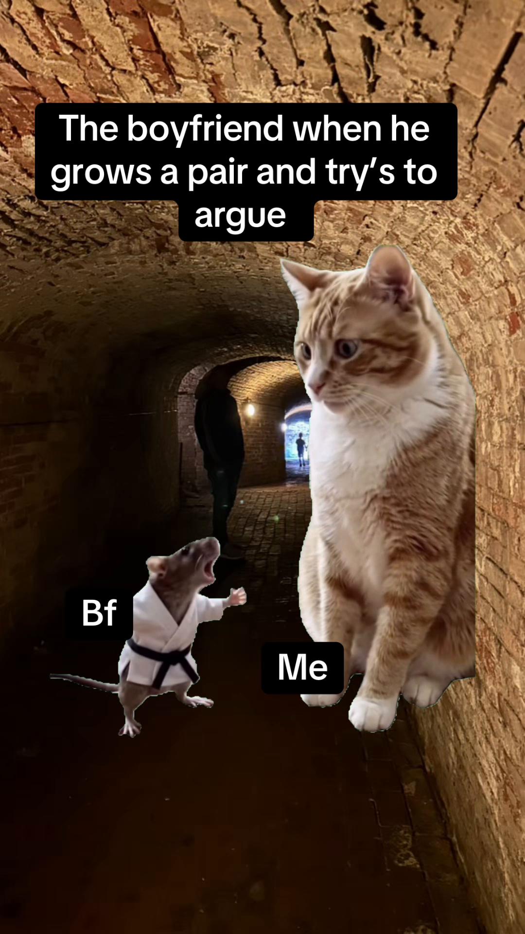 @gemma
